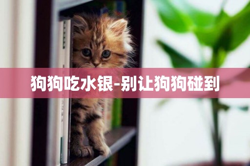 狗狗吃水銀-別讓狗狗碰到