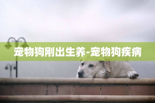 寵物狗剛出生養-寵物狗疾病