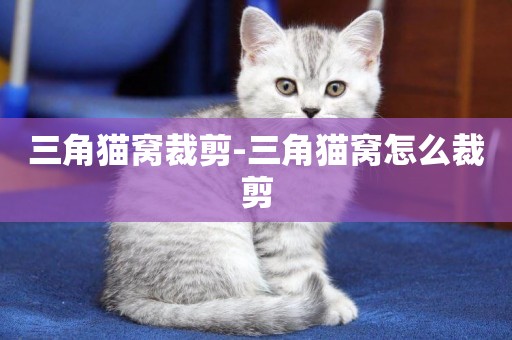 三角貓窩裁剪-三角貓窩怎么裁剪