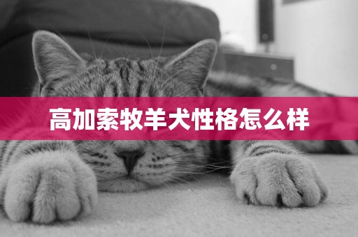 高加索牧羊犬性格怎么樣