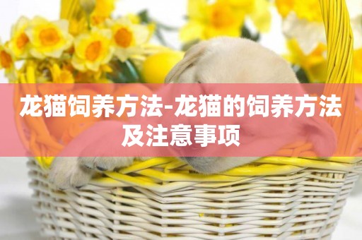 龍貓飼養方法-龍貓的飼養方法及注意事項