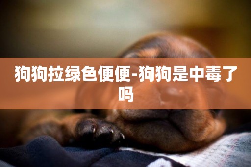 狗狗拉綠色便便-狗狗是中毒了嗎