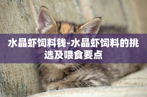 水晶蝦飼料錢-水晶蝦飼料的挑選及喂食要點