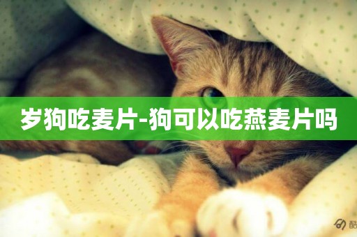 歲狗吃麥片-狗可以吃燕麥片嗎
