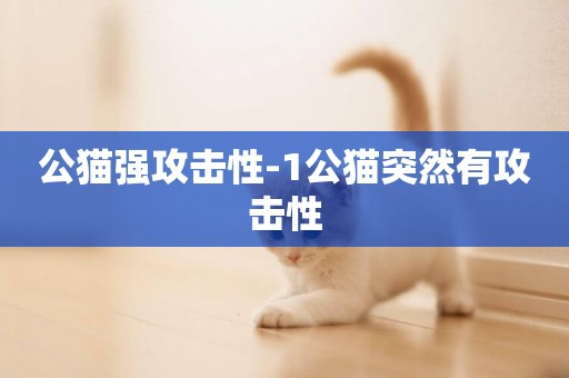 公貓強攻擊性-1公貓突然有攻擊性
