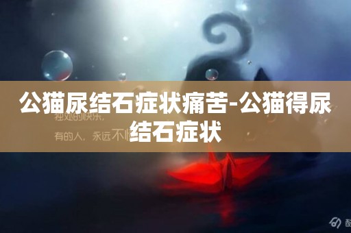 公貓尿結石癥狀痛苦-公貓得尿結石癥狀
