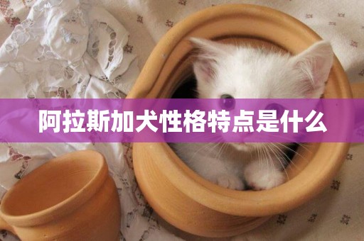 阿拉斯加犬性格特點是什么
