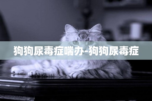 狗狗尿毒癥喘辦-狗狗尿毒癥