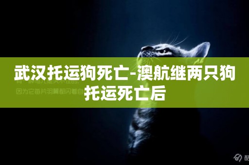 武漢托運狗死亡-澳航繼兩只狗托運死亡后