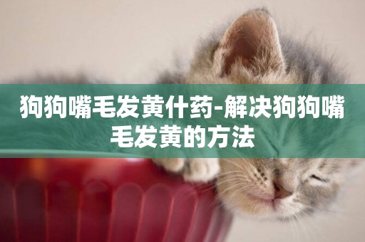 狗狗嘴毛發黃什藥-解決狗狗嘴毛發黃的方法