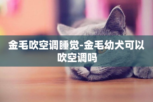 金毛吹空調睡覺-金毛幼犬可以吹空調嗎