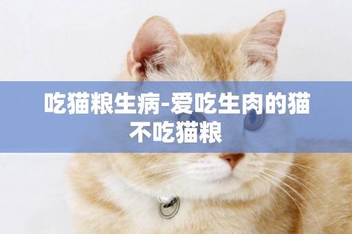 吃貓糧生病-愛吃生肉的貓不吃貓糧