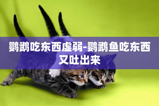 鸚鵡吃東西虛弱-鸚鵡魚吃東西又吐出來
