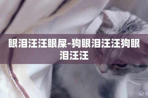 眼淚汪汪眼屎-狗眼淚汪汪狗眼淚汪汪