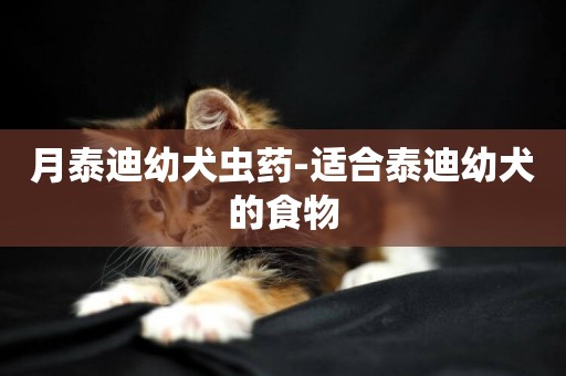 月泰迪幼犬蟲藥-適合泰迪幼犬的食物