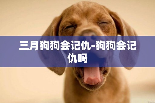 三月狗狗會記仇-狗狗會記仇嗎