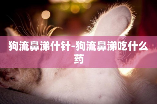 狗流鼻涕什針-狗流鼻涕吃什么藥