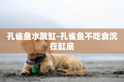 孔雀魚水跳缸-孔雀魚不吃食沉在缸底