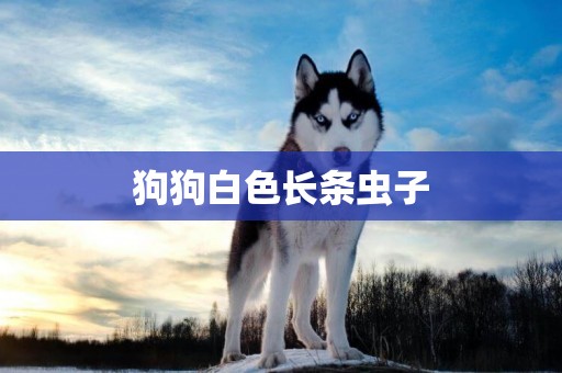 狗狗白色長條蟲子