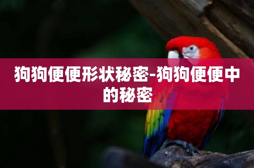狗狗便便形狀秘密-狗狗便便中的秘密