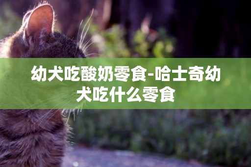 幼犬吃酸奶零食-哈士奇幼犬吃什么零食