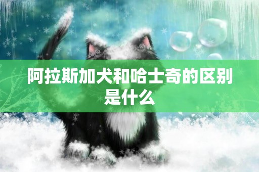 阿拉斯加犬和哈士奇的區別是什么