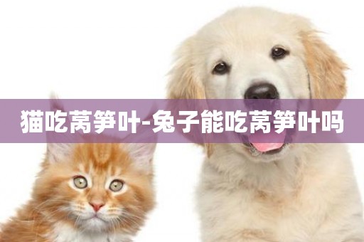 貓吃萵筍葉-兔子能吃萵筍葉嗎