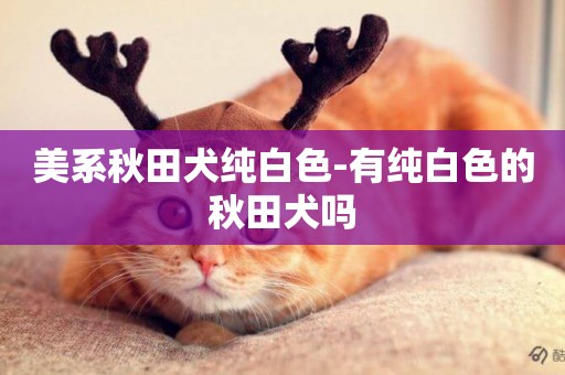 美系秋田犬純白色-有純白色的秋田犬嗎