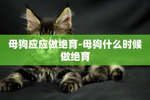 母狗應應做絕育-母狗什么時候做絕育