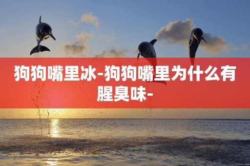狗狗嘴里冰-狗狗嘴里為什么有腥臭味-
