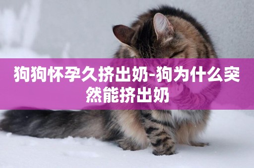 狗狗懷孕久擠出奶-狗為什么突然能擠出奶