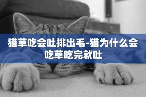 貓草吃會吐排出毛-貓為什么會吃草吃完就吐