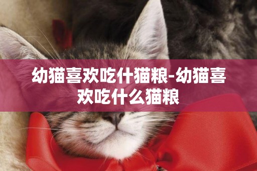 幼貓喜歡吃什貓糧-幼貓喜歡吃什么貓糧