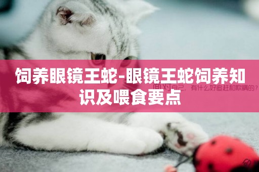 飼養眼鏡王蛇-眼鏡王蛇飼養知識及喂食要點