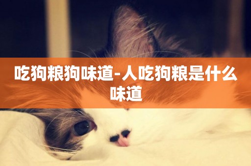 吃狗糧狗味道-人吃狗糧是什么味道