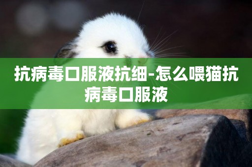 抗病毒口服液抗細-怎么喂貓抗病毒口服液