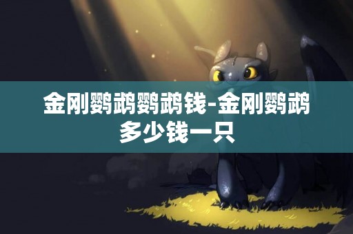 金剛鸚鵡鸚鵡錢-金剛鸚鵡多少錢一只