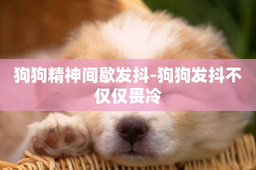 狗狗精神間歇發抖-狗狗發抖不僅僅畏冷
