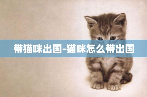 帶貓咪出國-貓咪怎么帶出國