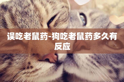 誤吃老鼠藥-狗吃老鼠藥多久有反應