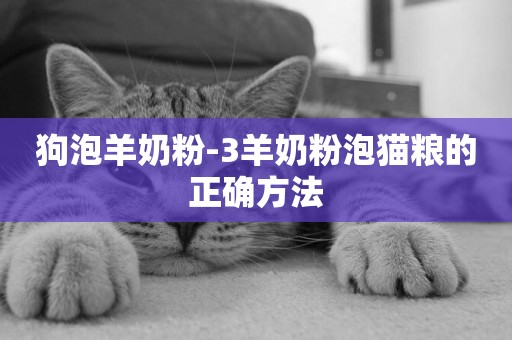 狗泡羊奶粉-3羊奶粉泡貓糧的正確方法