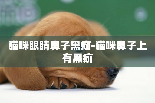 貓咪眼睛鼻子黑痂-貓咪鼻子上有黑痂