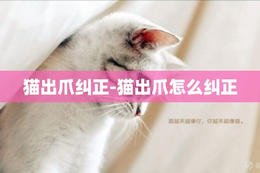 貓出爪糾正-貓出爪怎么糾正