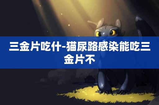 三金片吃什-貓尿路感染能吃三金片不