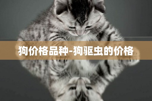狗價格品種-狗驅蟲的價格