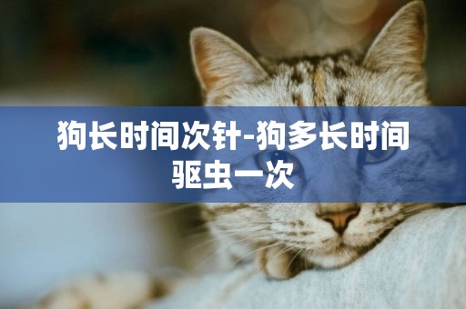 狗長時間次針-狗多長時間驅蟲一次