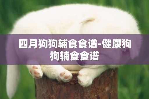 四月狗狗輔食食譜-健康狗狗輔食食譜