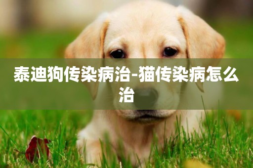 泰迪狗傳染病治-貓傳染病怎么治