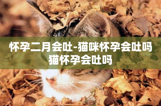 懷孕二月會吐-貓咪懷孕會吐嗎貓懷孕會吐嗎
