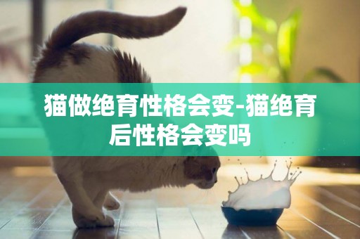 貓做絕育性格會變-貓絕育后性格會變嗎